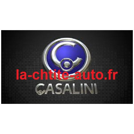 PORTE D'OCCASION CHAUFFEUR CASALINI M12