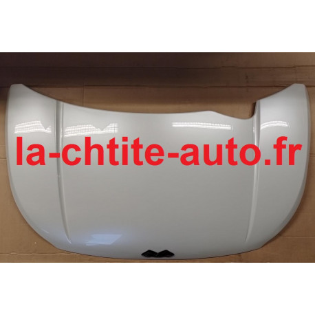 CAPOT AVANT LIGIER js50 ph3