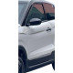 PORTIERE CHAUFFEUR LIGIER JS60 V2 D OCCASION