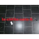 CABLE INVERSEUR D'ORIGINE JDM ALBIZIA-ABACCA